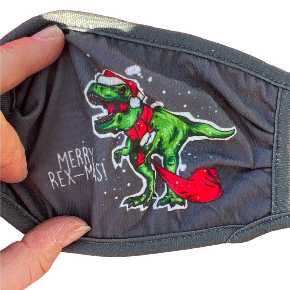 NWT youth Christmas cloth face mask Dinosaurs, plaid 3 face madk per package